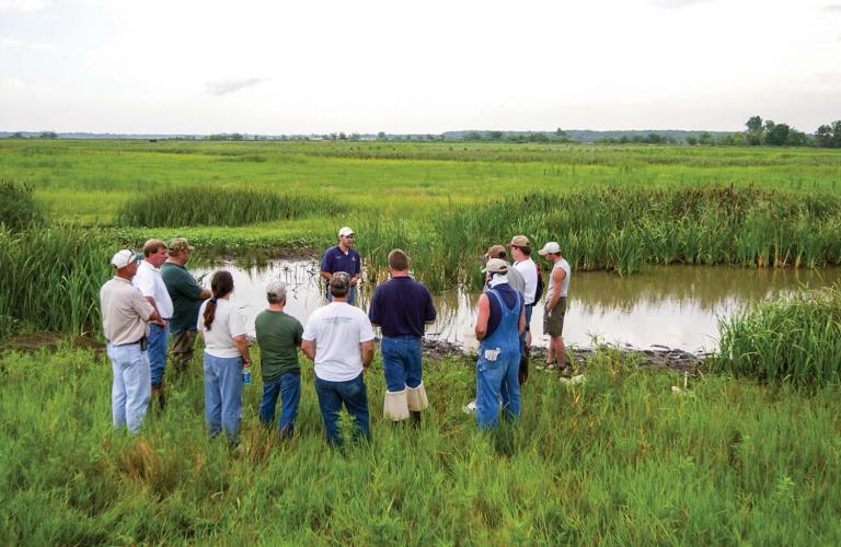 Private Landowners at a Wetland