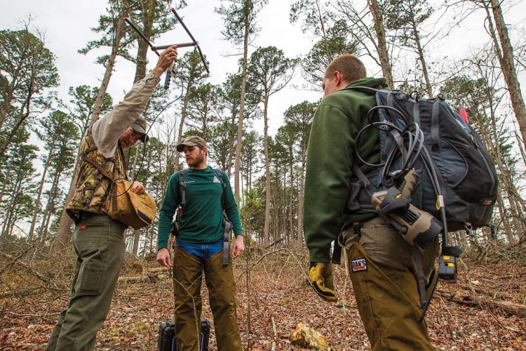 Three biologist use a radio antenna to track a bear's radio collar