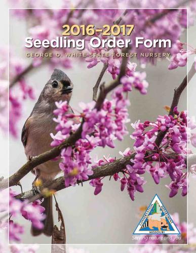 Seedling Order Form 