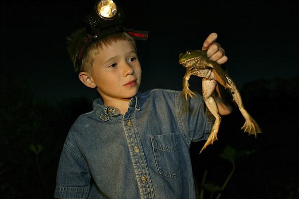 A little boy holding up a frog he harvest frogging