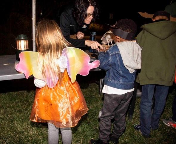 MDC staff teach children about nature during the HOWLoween event.