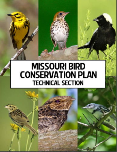 Mo Bird Plan Cover