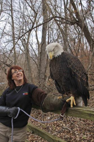 Pam Price holding eagle Phoenix.