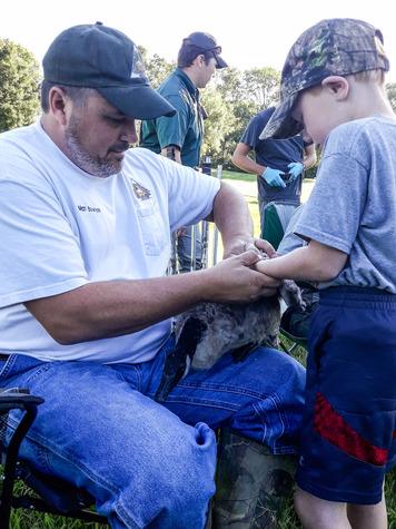 MDC Wildlife Regional Supervisor Matt Bowyer shows Nolan, 7, of Jackson how to place a band on a Canada goose at Cape County Park North.