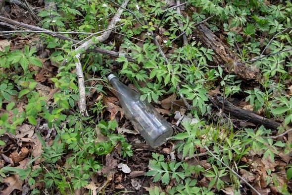 A bottle in nature