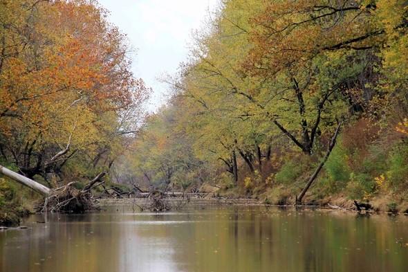 fall color along river