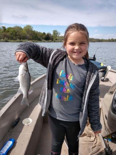 A little girl shows off a 10-inch, two-year-old hybrid striped bass.