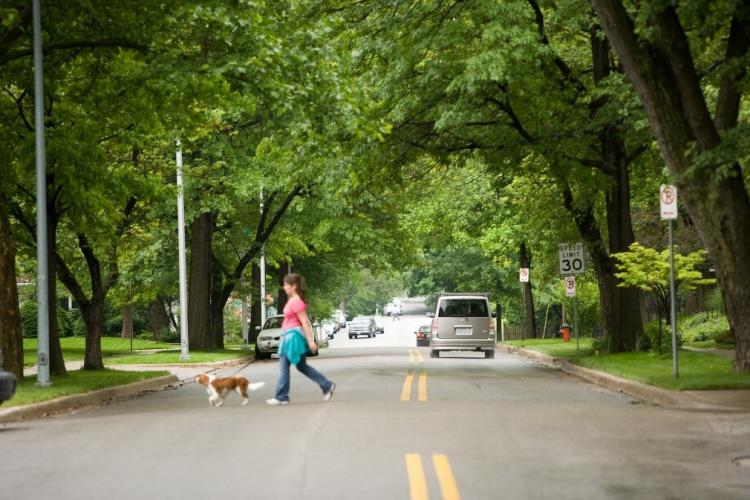 A woman walks through a neighborhood lined with trees