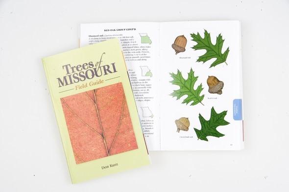 Trees of Missouri Field Guide