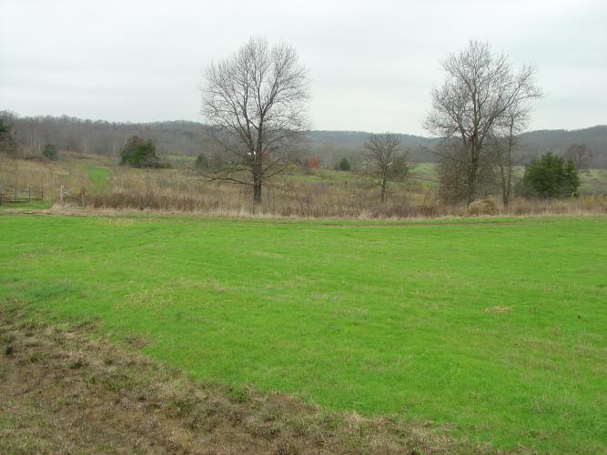 Open grassland area