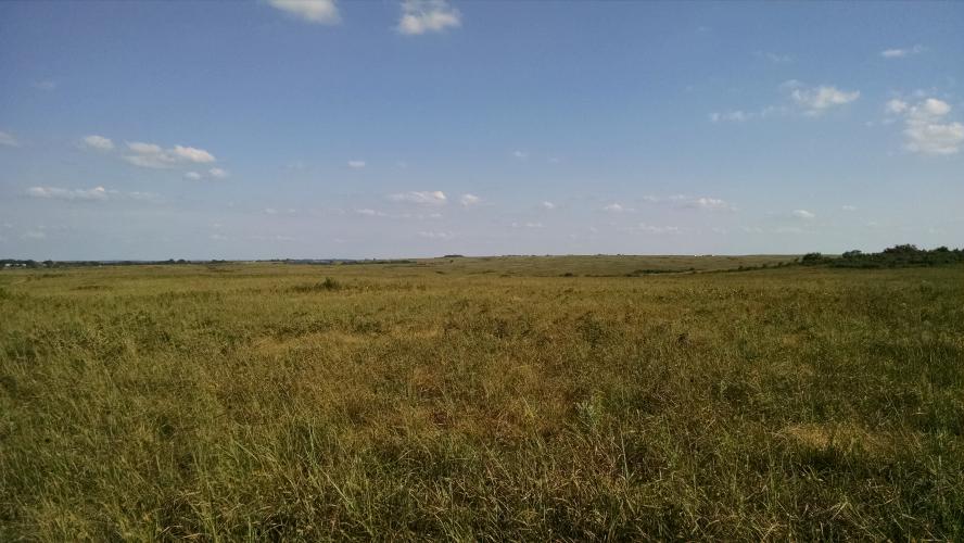 Grass prairie at Wah'Kon-Tah_Prairie