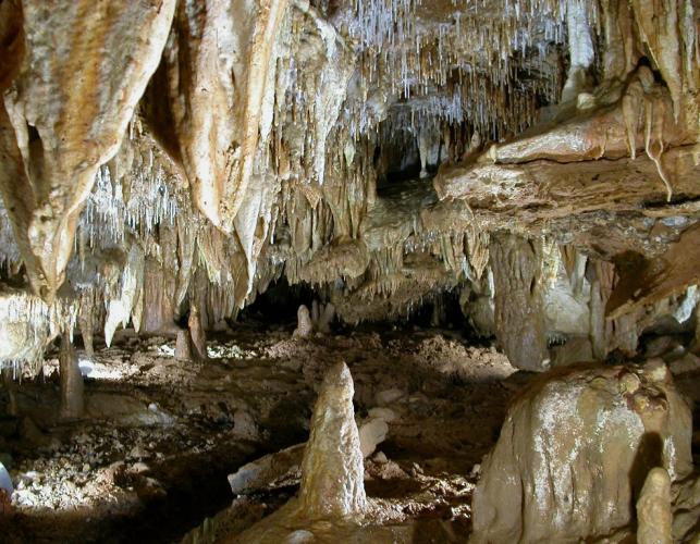 Caves and Karst | Missouri Department of Conservation