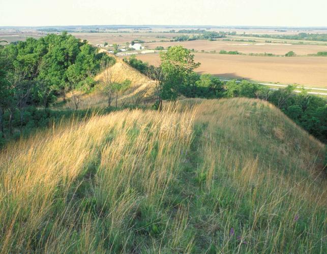 Photo of loess hill prairie at Star School Prairie Conservation Area