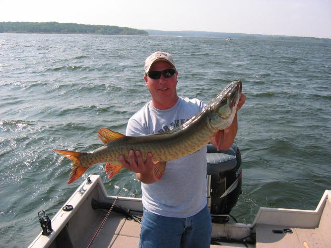 Fisheries biologist Mike Anderson shows muskie caught at lake pomme de terre