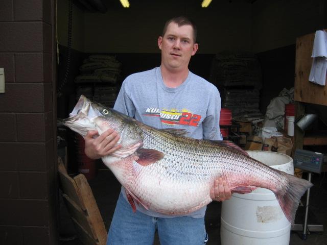 James Cunningham with State Record Striped Bass