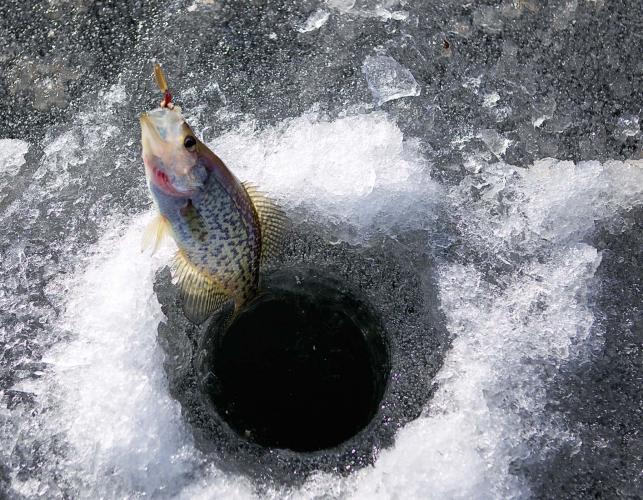 Ice Fishing for Black Crappie