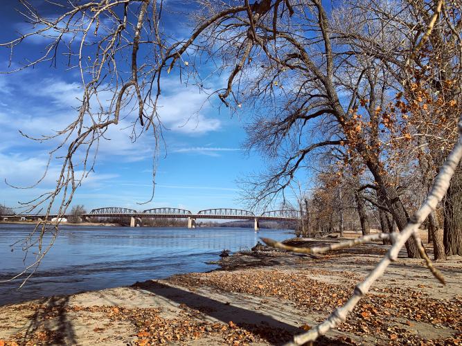 Trees and sandy ground on the banks of the Missouri River. A highway and train bridge are in the background.