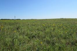 View of prairie landscape