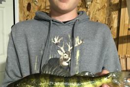 Isaac Bohm holding his State Record Yellow Perch