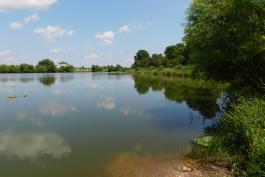 McCredie Farm Lake, Callaway County, Missouri, view to east from boat ramp