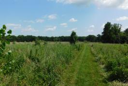 William S. Lowe Conservation Area, Audrain County, view of trail through grassland
