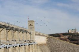 Vultures flying above and perched on the dam at Table Rock Lake. 