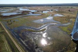 Fall flooded wetlands