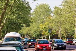Traffic along a tree-lined boulevard in St. Louis