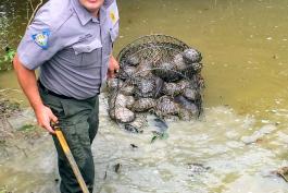 An MDC agent confiscating a net of turtles