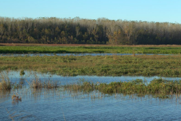 wetlands at fountain grove conservation area
