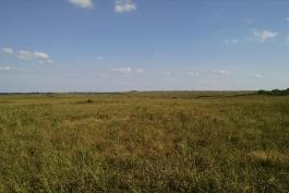Grass prairie at Wah'Kon-Tah_Prairie