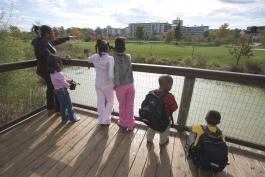 A teacher and students on a wooden pier overlooking a pond on the Discover Center