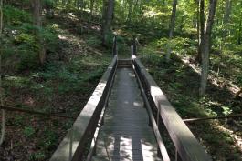 Wooden footbridge at Rockwoods Reservation