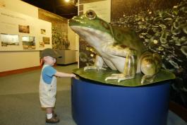 Small boy standing at the Runge CNC Frog Statute