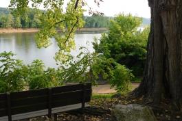 View of Tuscumbia Access showing park bench, old tree, Osage River, and boat ramp