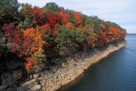 Autumn woods with sugar maples along a rocky shoreline