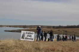 Photo of people watching for snowy owls on open ground near Smithville Lake.