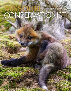 Missouri Conservationist cover 03-2024