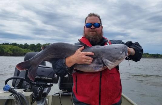 Angler holds large catfish