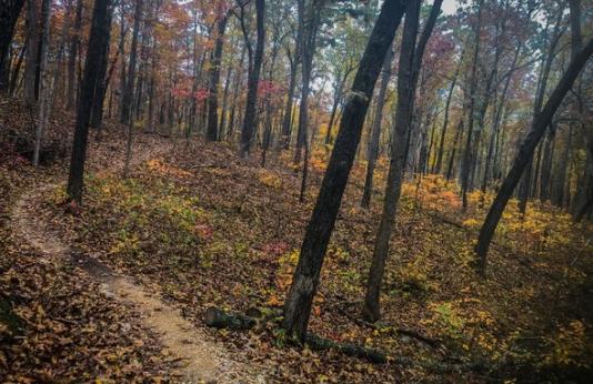 Fall hiking trail