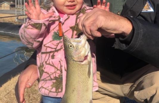 Toddler and rainbow trout