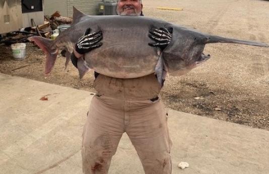 Jim Dain holds state record paddlefish