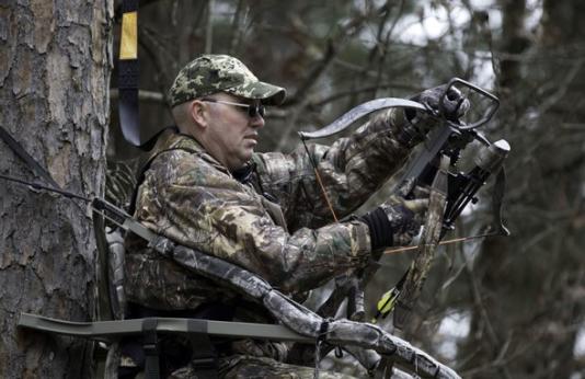 Crossbow hunter in tree stand
