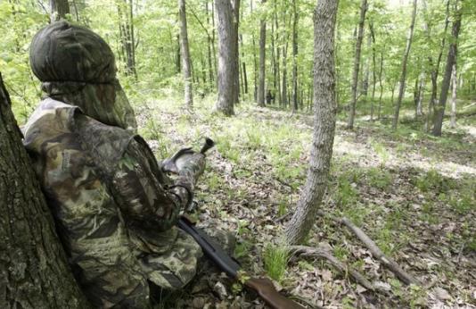Turkey hunter in the woods in spring