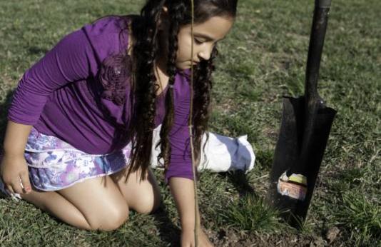 Young girl plants tree outside of her home