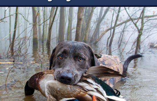 Migratory Bird and Waterfowl Hunting Digest 2023-2024 