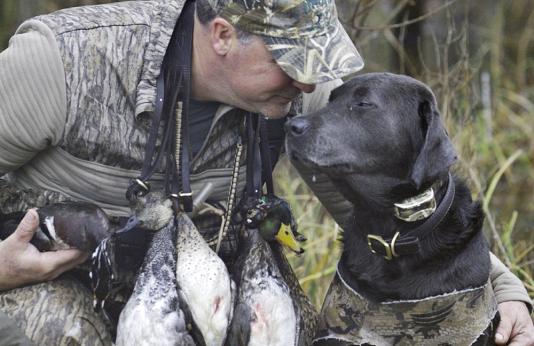 Duck hunter kisses hunting dog