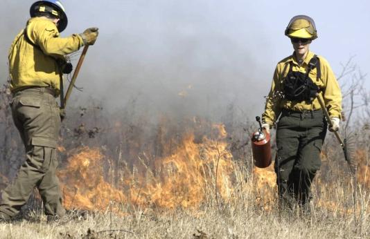 Two staff members conduct a prescribed fire