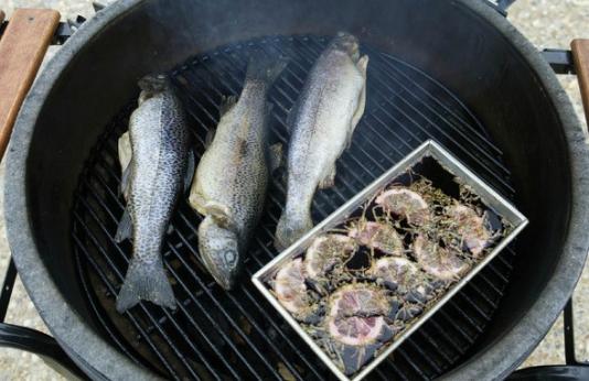 Rainbow trout on grill