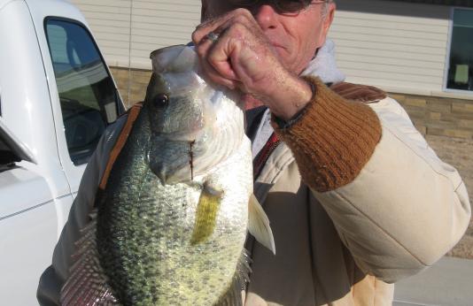 Large Crappie Caught at Reed CA